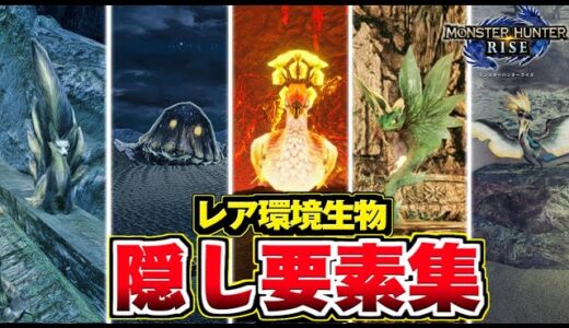 【モンハンライズ】隠し要素集！レア環境生物の場所まとめ【MHRise モンスターハンターライズ】