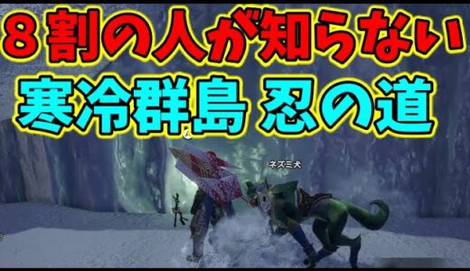 モンハンライズ】寒冷群島の先人の遺物二つがある隠し道知ってる？【MHRise】