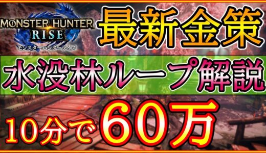 【MH:Rise】【金策】60万稼ぐ事も出来る『水没林ループ』をお見せします【モンハンライズ】