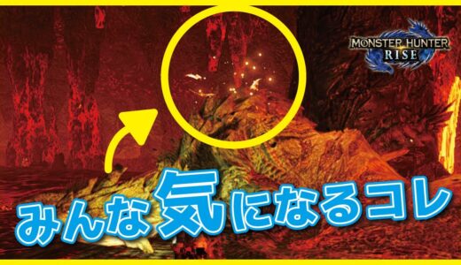 【モンハンライズ】モンスターの背中に赤い蝶？虫？遂に正体が判明！