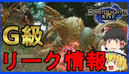 【モンハンライズ】2022年発売！？DLCで30体のG級モンスター＆5種の新フィールド追加が解析から判明！！【MHRise】