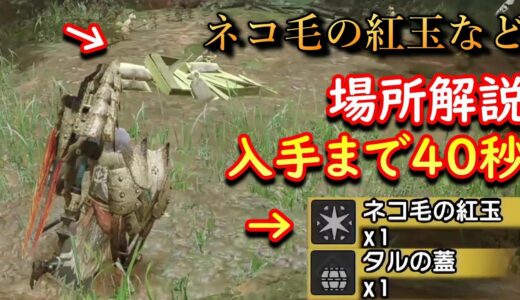 【モンハンライズ】ネコ毛の紅玉など40秒で入手できるできる場所を解説（MH:Rise）