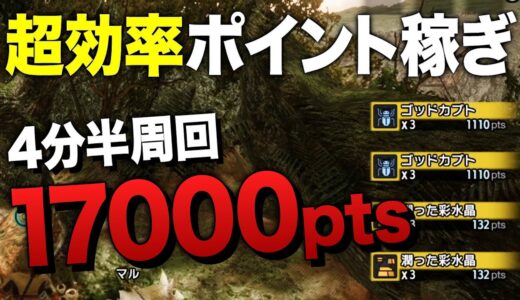 【モンハンライズ】富豪注意！4分半で周回できるカムラポイント稼ぎを1時間やってみた結果…【モンスターハンターライズ】