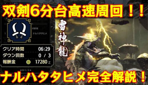 【モンハンライズ】双剣6分台でナルハタタヒメ高速周回！双剣の立ち回りやラスボスの行動解説！！【モンスターハンターライズ/MHRise】