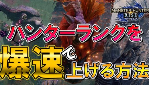 たった7回でHR8→40に!! ハンターランクを効率よく上げる方法【モンスターハンターライズ】