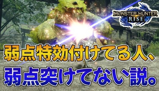 【モンハンライズ】スキル「弱点特効」付けてる人、弱点突けてない説。【みんなの反応まとめ】【MHRise】