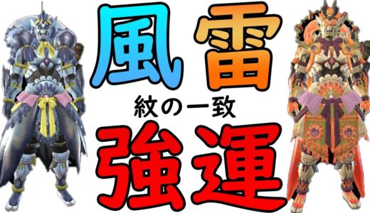 【モンハンライズ】『風・雷紋の一致』スキルの強運効果について検証してみた(幸運スキルが重複するのかも調べてみた)【MONSTER HUNTER RISE】