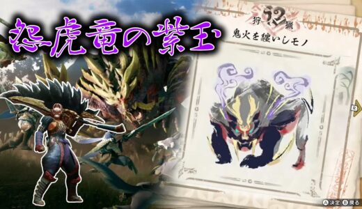 【モンスターハンターライズ】紫玉を求めて！マガイマガドを狩り尽くす！【生配信】