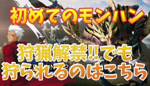 【モンハンライズ】協力プレー募集中　別に狩られてしまっても構わんのだろう？【教えてください】