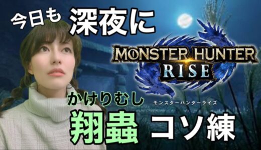 【モンスターハンターライズ】今日も深夜に翔蟲コソ練