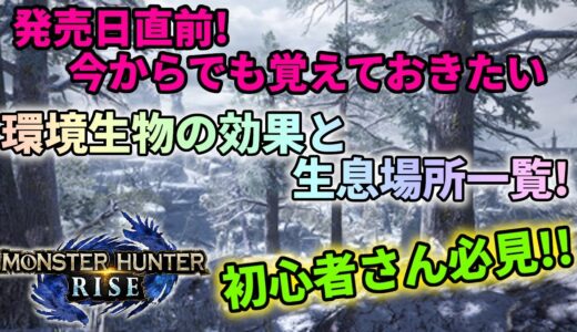 【モンスターハンターライズ】知って損なし！マップの便利な使い方と環境生物の効果や生息場所一覧ご紹介