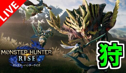 【モンハンライズ】#2 爆発的な速度で村を進める回【MONSTER HUNTER RISE】