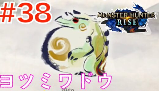 #38 丸呑み力士！ヨツミワドウ討伐【モンハンライズ】