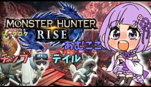 【ゲーム配信Live】MONSTER_HUNTER_RISE（モンスターハンターライズ）３４