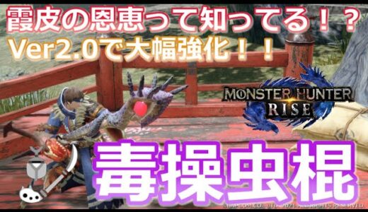 【MHRise/モンハンライズ】霞皮の恩恵って知ってる？？オオナズチの力を得た毒属性操虫棍がめっちゃ強かった！！おススメ武器と防具のご紹介（おすすめ/汎用性/毒属性/オオナズチ/装備紹介）