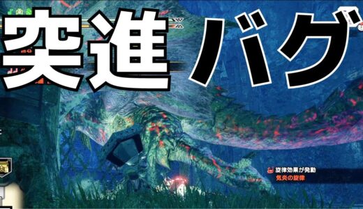 【モンハンライズ】百竜夜行バグ(ヌシが突進しつづける)【MHRise】