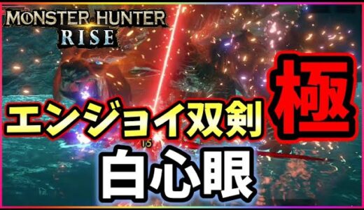 モンハンライズ】「切れ味白で心眼!?」硬い部位でも超絶ダメージを叩き出す！！【MHRise】