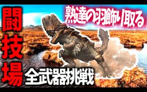 【モンハンライズ】ボルボロス編！熟達の羽飾りを求めて闘技場へ【MHrise/モンスターハンターライズ】