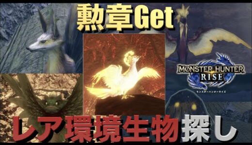 【モンハンライズ】実況Part41 レア環境生物を撮って勲章をゲット！希少生物の場所探し【モンスターハンターRISE】