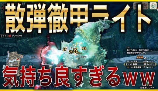 [モンハンライズ]散弾徹甲ライトが強すぎる上に楽しすぎなので超オススメしたい！！