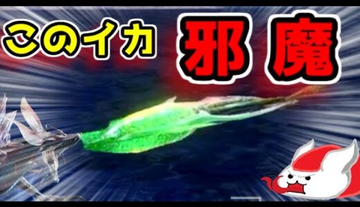 寒冷群島のイカは邪魔になるときもある　ミリ体力でヌシ・タマミツネおしばき【モンハンライズ】（ゆっくり実況 賊）