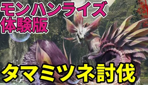 『モンスターハンターライズ 体験版』オサイズチ討伐とタマミツネ討伐に挑戦