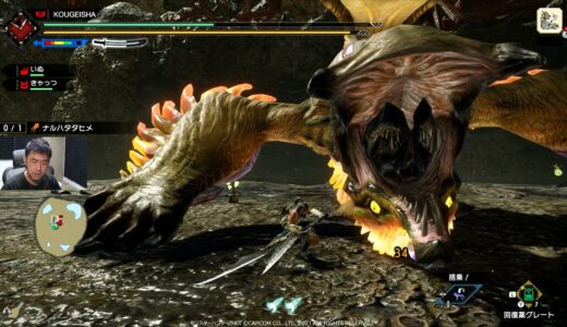 21 モンスターハンターライズ Monster Hunter Rise パポ配信