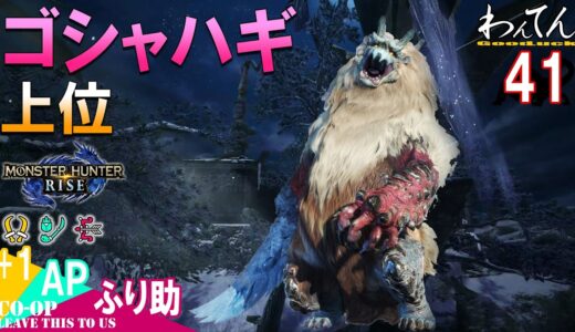 [.41]上位 ゴシャハギ：わんてん+1の狩猟記『モンスターハンター ライズ / Monster Hunter Rise』ふり助, AP