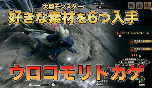 【モンハンライズ】古龍素材や逆鱗も！ウロコモリトカゲで好きな大型モンスター素材を6つゲット！