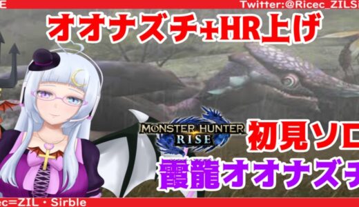 【モンスターハンターライズ】オオナズチ戦～HR上げ小悪魔のハンター生活