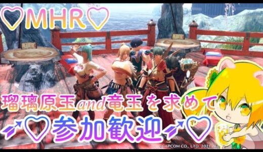 【MH RISE】眠れない!!なんてこったああああああ!!!★モンハンライズ参加型★