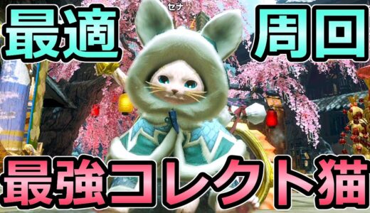 【モンハンライズ】周回に最適 最強コレクトオトモアイルー 状態異常とバフの支援ビルド【MHRise モンスターハンター】