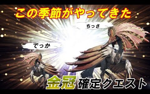 MHRise 遂に来た！金冠確定クエスト　モンスターハンターライズ