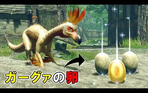 【MHRise】ガーグァの卵が道端に落ちていたら、クルルヤックは食べてしまうのか？（ゆっくり実況）