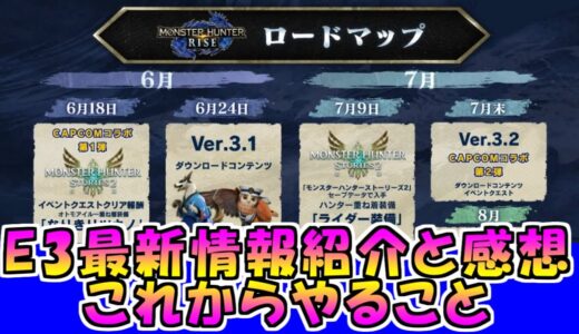 モンハンライズＥ３情報まとめと感想　これからやるべきこと　MHRise