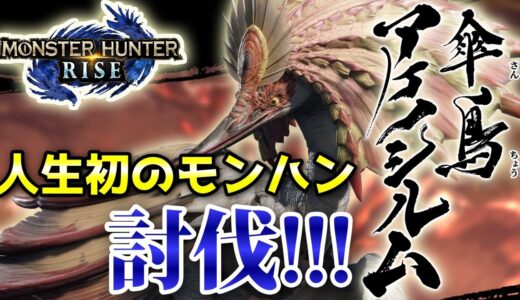 【モンハンライズ：双剣初心者】緊急クエスト『変幻の唐傘』アケノシルム討伐に挑戦！立ち回り等アドバイスください（MHRise:モンスターハンターライズ）ニャン速ちゃんねる