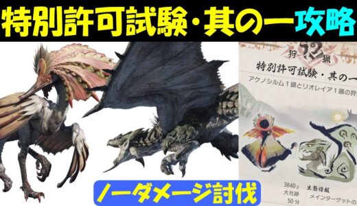 【モンハンライズ】 特別許可試験・其の一攻略 〔ノーダメージ討伐〕 ハンマー 【MHRiseモンスターハンターライズ】