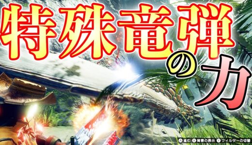 【MHRise】狙撃竜弾と機関竜弾だけでバゼルギウスを堕としたい【モンハンライズ実況】