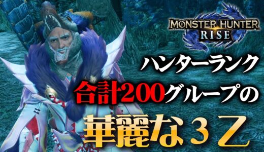 【MHRise】ハンターランク200越えグループによる華麗なる３乙。謎の独り言編【モンハンライズ】