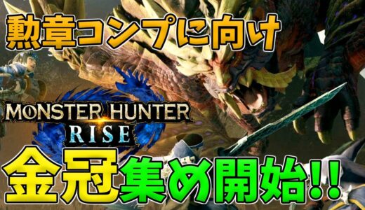 ［MHRise/Switch］♪モンハンライズ♪#43　3D2Y!!頂上決戦熱かった。参加はHR8～