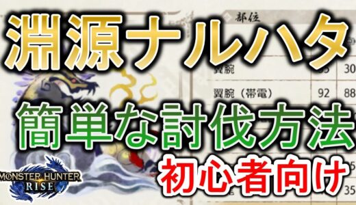 【MHRise】淵源ナルハタ簡単攻略方法を解説！ver3.0 ラスボスの倒し方 初心者必見【モンハンライズ】