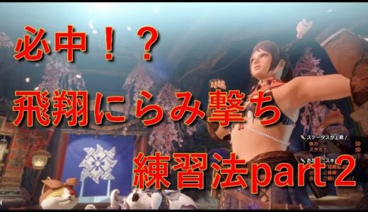 【モンハンライズ　弓】弓闘士への道 No 19 飛翔にらみ撃ちの精度を上げる練習法！【モンハンライズ】