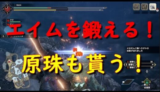 【モンハンライズ　弓】弓闘士への道 No9 弱点部位への照準を合わせを鍛えよう！そして原珠も手に入れよう！【モンハンライズ　原珠】