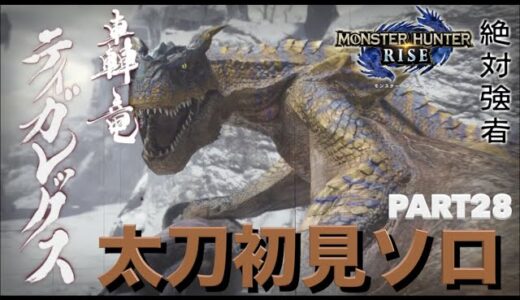 【モンハンライズ】実況Part28 ティガレックス太刀初見ソロ【モンスターハンターRISE】