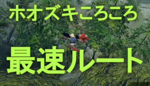 モンハンライズ スラアク 爆破属性と心眼で肉質無視でも高火力 テオキャッスルで零距離解放 超連発でバルファルクも楽々討伐 Mh Rise ガルク速報