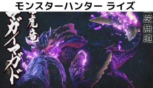 Switch モンスターハンター ライズ 　#12　里★4緊急クエスト　悪逆無道　マガイマガド