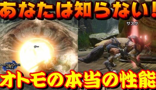 【モンハンライズ】あなたは知らない！オトモの本当の性能！アイルーVSガルクを検証するモンハンライズ【モンスターハンターライズ】