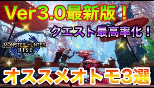 【Ver.3.0最新版】ぶっ壊れの悪魔的進化の究極の８割が知らないの快適の最強のって色々あるよねｗｗｗモンハンライズ【MHRise/モンスターハンターライズ】