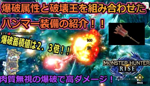 【モンハンライズ】爆破蓄積値が２．３倍の爆破属性と破壊王を組み合わせたハンマー装備を紹介します！！【モンスターハンターライズ】【ゲーム実況】part18