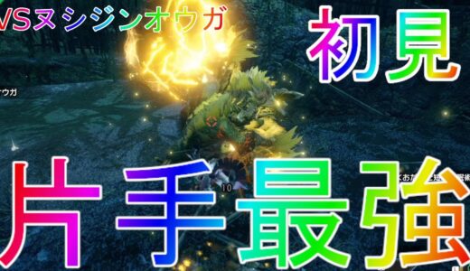 【モンスターハンターライズ】みてみて！私の最強片手剣コーデ！ストーリー実況part28【モンハンライズ】【MHRise】百竜夜行最強解説スイッチ版Switchアップデートヌシジンオウガ初見装備